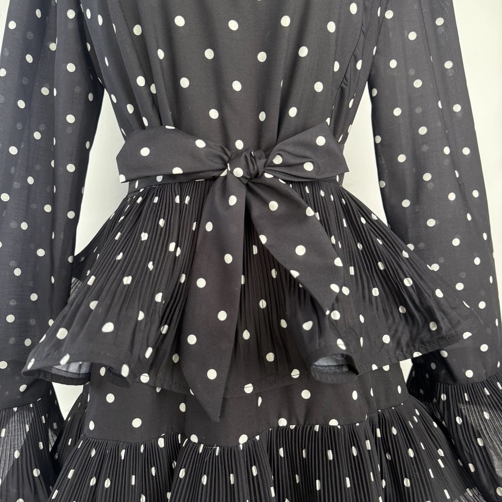 Designer Elaborate Black Polka Dot Ruffled Dress - Picture 4 of 11